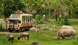 Bali Safari & Marine Park - Diskon 15%