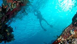 Dive Resort Noble Bali - Diskon hingga 50%