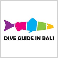 Dive Guide In Bali - Diskon hingga 50%