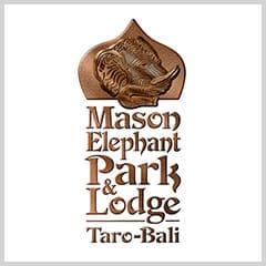 Mason Elephant Safari Park - Buy 2 Get 3