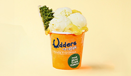 Discount 20% at Udders Ice Cream